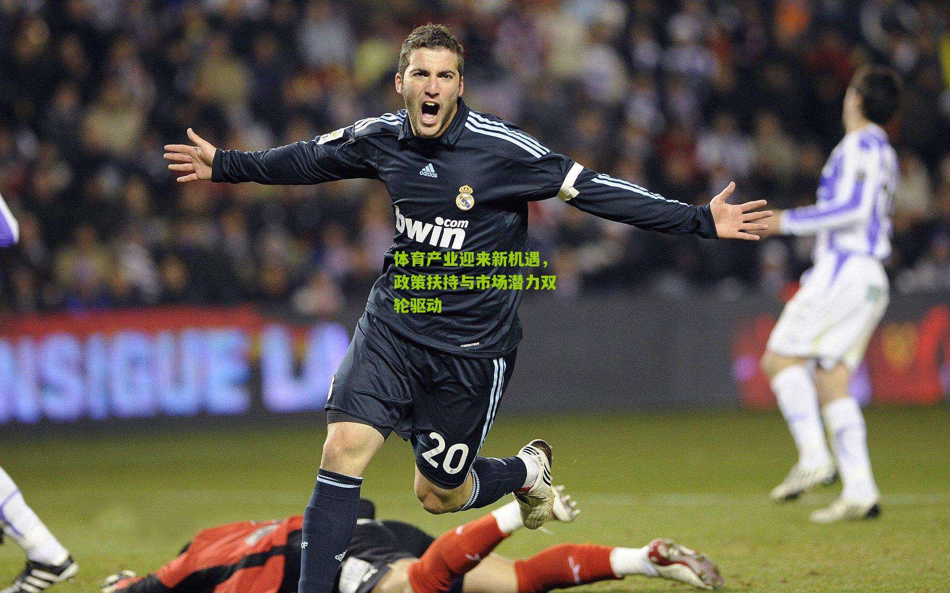 体育产业迎来新机遇,政策扶持与市场潜力双轮驱动